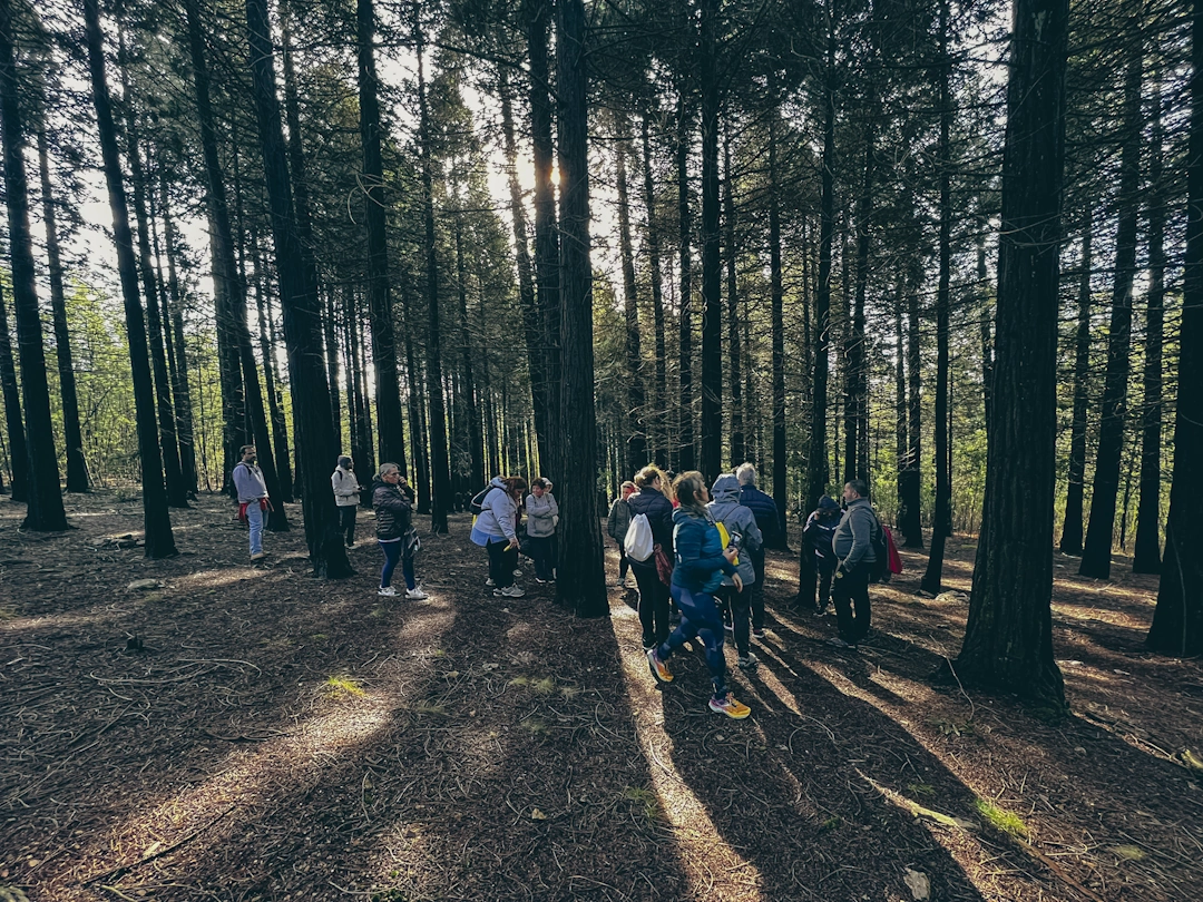 Terceira fotografia da experiência do parque