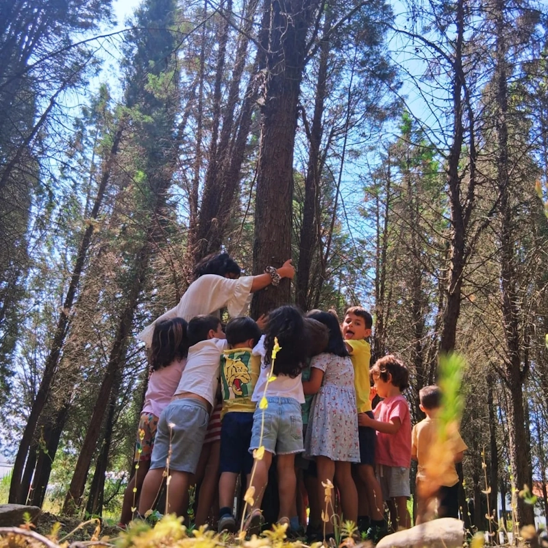 Escola da Natureza